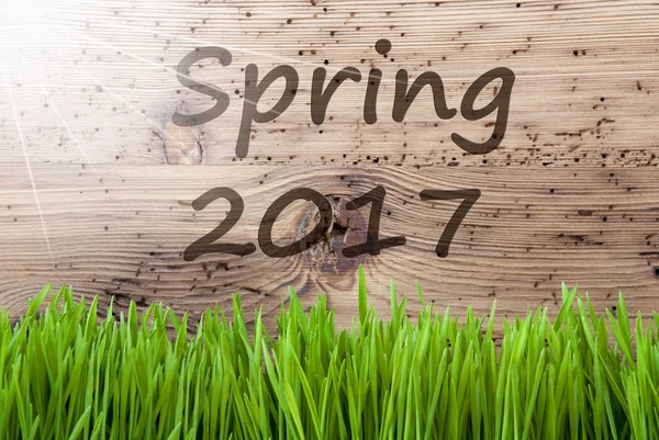Fondo de madera brillante soleado, Gras, Texto Primavera 2017 —  Fotos de Stock