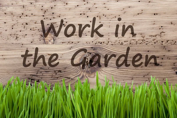 Fondo de madera brillante, Gras, Trabajo de texto en el jardín — Foto de Stock