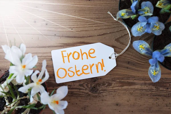 Sunny Flowers, Label, Frohe Ostern Means Happy Easter — Stockfoto