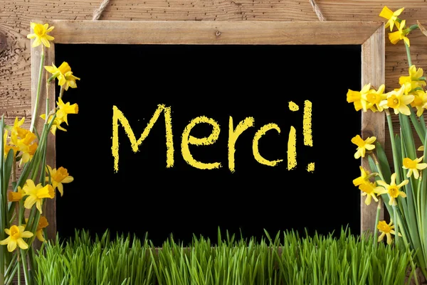 Spring Flower Narcissus, Chalkboard, Merci Means Thank You — Stock Photo, Image