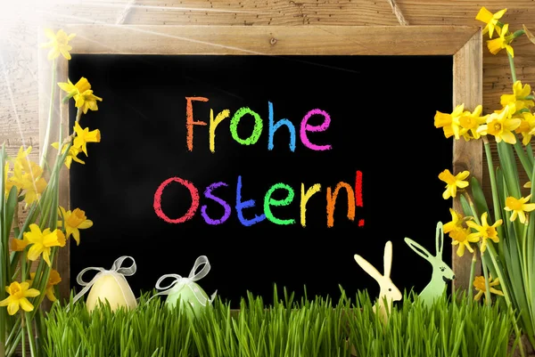 Soleggiato Narciso, Uovo, Coniglietto, Colorato Frohe Ostern significa Buona Pasqua — Foto Stock