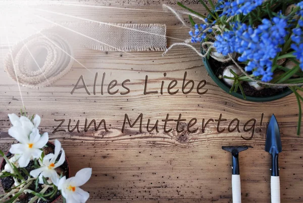 Sonnige Frühlingsblumen, Muttertag bedeutet fröhlicher Muttertag — Stockfoto