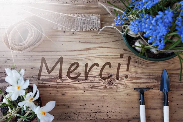 Sonnige Frühlingsblumen, französischer Text merci bedeutet Danke — Stockfoto