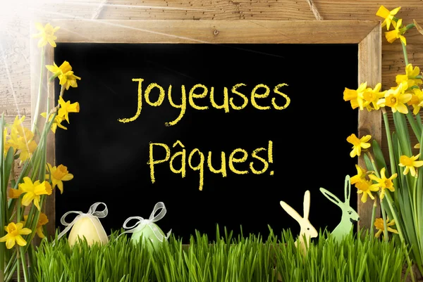 Sunny Narcissus, Egg, Bunny, Joyeuses Paques Means Happy Easter — Stock Photo, Image