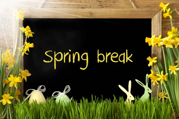Narciso soleado, Huevo de Pascua, Conejo, Vacaciones de primavera de texto — Foto de Stock