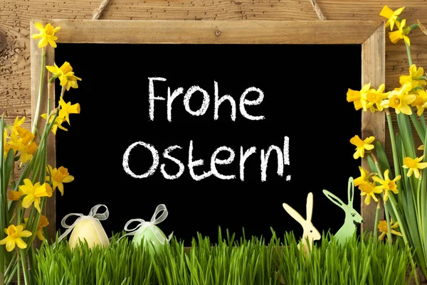 Narciso, Ovos, Coelho, Frohe Ostern significa Feliz Páscoa — Fotografia de Stock