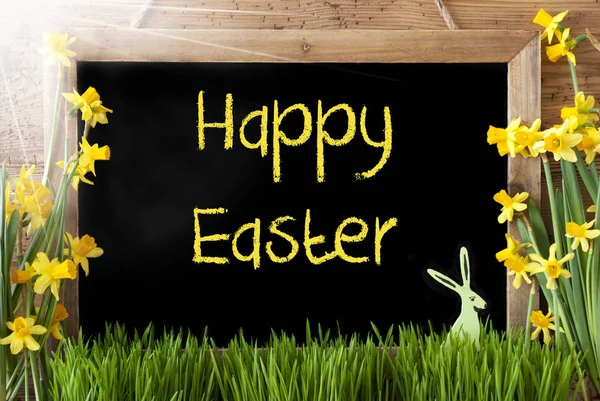 Zonnige Narcissus, Bunny, tekst Happy Easter — Stockfoto