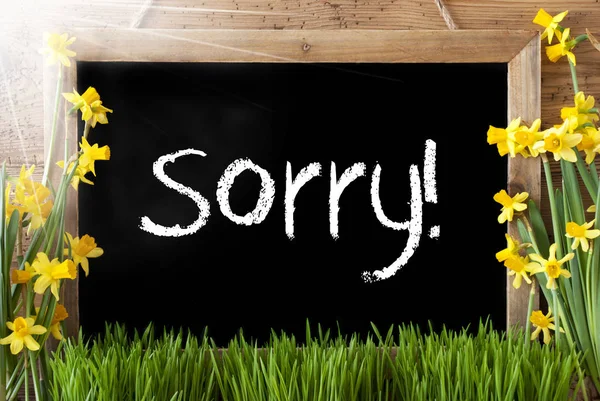 Sunny Spring Narcissus, Chalkboard, Text Sorry — Stock Photo, Image