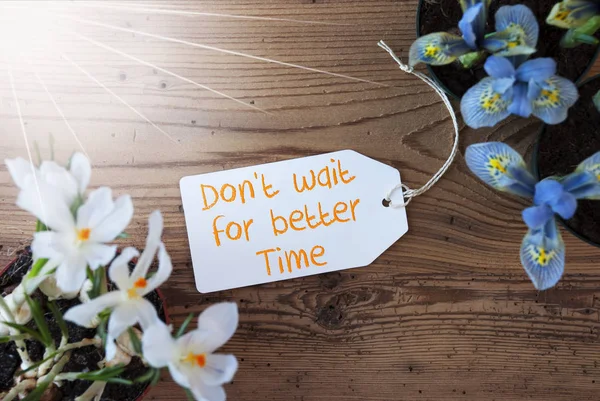 Słoneczne kwiaty, etykieta, cytat nie czekaj na lepszy czas — Zdjęcie stockowe