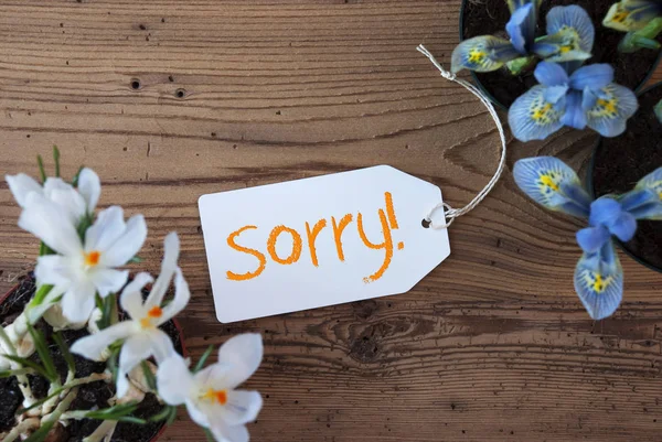 Bloemen, Label, tekst Sorry — Stockfoto