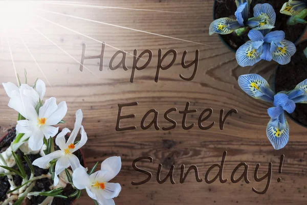 Zonnige Crocus en hyacint, tekst vrolijk Pasen zondag — Stockfoto