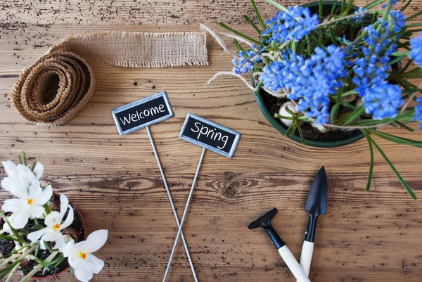 Flores, Signos, Texto Bienvenido Primavera — Foto de Stock