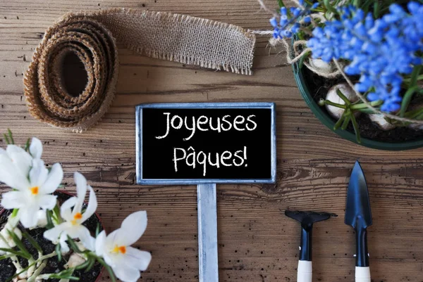 Lente bloemen, teken, Joyeuses Paques betekent vrolijk Pasen — Stockfoto