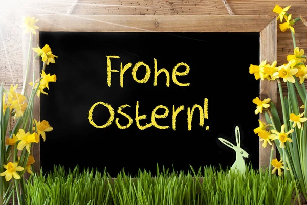 Narciso ensolarado, coelho, Frohe Ostern significa feliz Páscoa — Fotografia de Stock