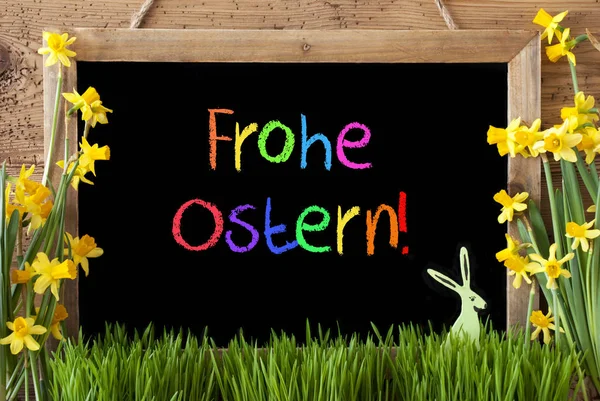 Narciso, Coelho, Frohe colorido Ostern significa feliz Páscoa — Fotografia de Stock