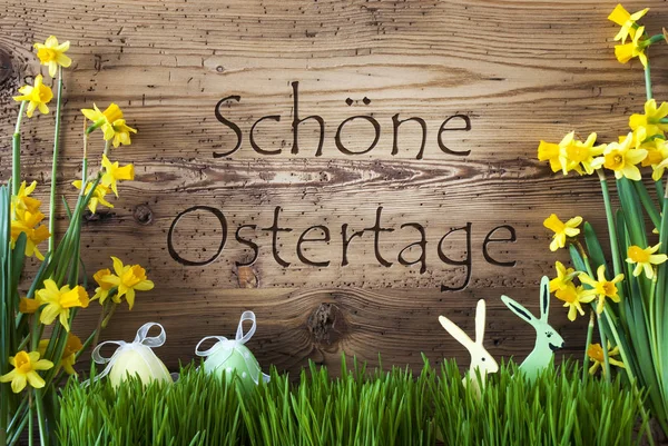 卵とウサギ、フォアグラ、シェー Ostertage 手段ハッピー イースター — ストック写真