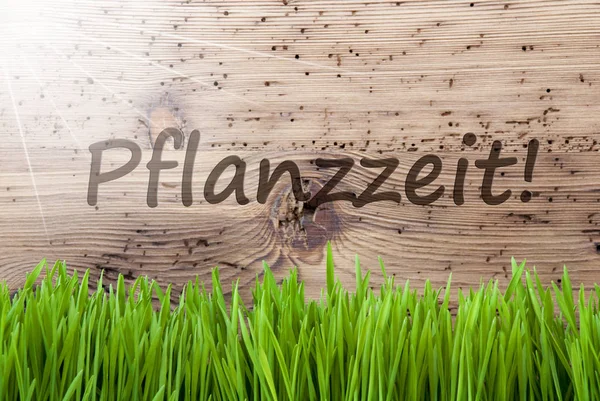 播种季节的明亮晴朗的木制背景，鹅肝，Pflanzzeit 手段 — 图库照片