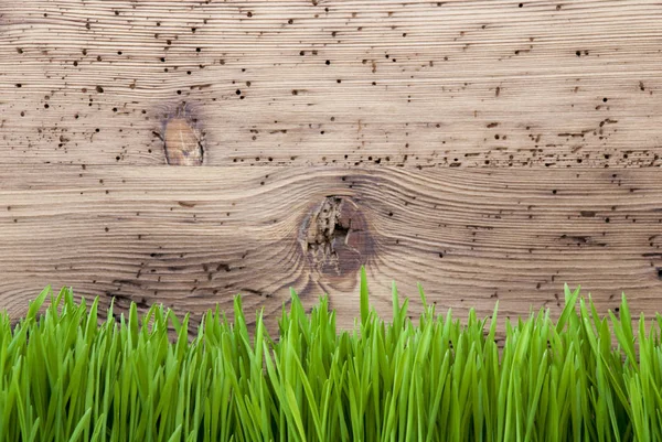 Ljusa trä bakgrund, Gras, kopia utrymme — Stockfoto