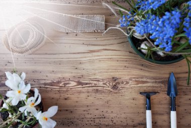 Güneşli bahar çiçekleri, reklam için serbest metin alanı Kopyala