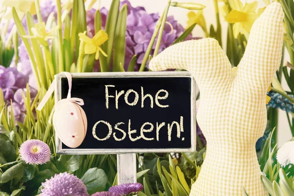 Osterhase, Frühlingsblumen, frohe Ostern — Stockfoto