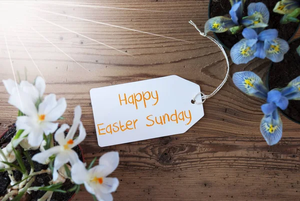 Zonnige bloemen, Label, tekst vrolijk Pasen zondag — Stockfoto