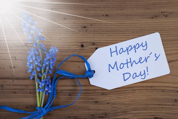 Sunny Srping Uva Hyacinth, Etiqueta, Feliz Dia das Mães — Fotografia de Stock