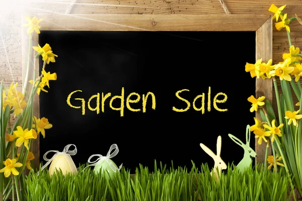 阳光明媚的水仙，复活节彩蛋，兔子，文本花园出售 — 图库照片