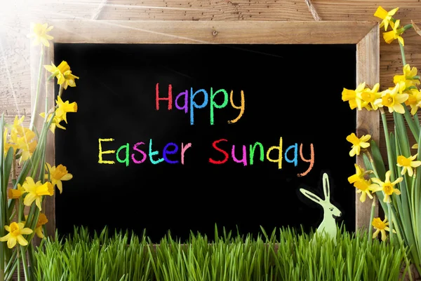 Tekst kolorowy Sunny narcyz, Bunny, Happy Easter Sunday — Zdjęcie stockowe