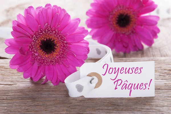 Rosa våren Gerbera, etikett, Joyeuses Paques betyder Glad påsk — Stockfoto
