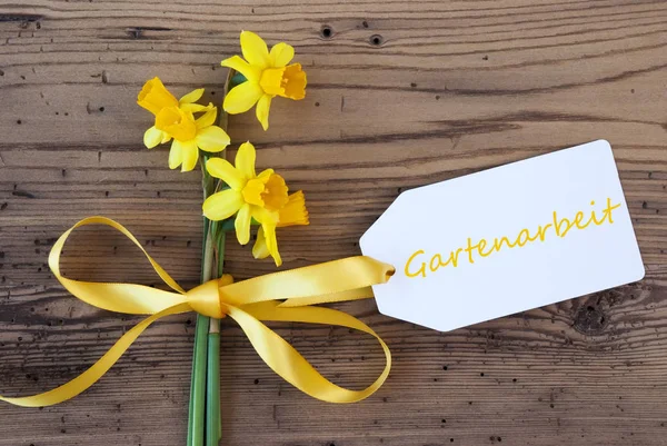 Narciso amarillo de primavera, etiqueta, Gartenarbeit significa jardinería —  Fotos de Stock