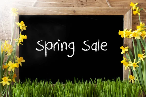 Narciso soleado, pizarra, venta de primavera de texto —  Fotos de Stock