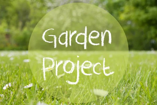 Gras louka, Daisy květiny, zahrada Text projektu — Stock fotografie