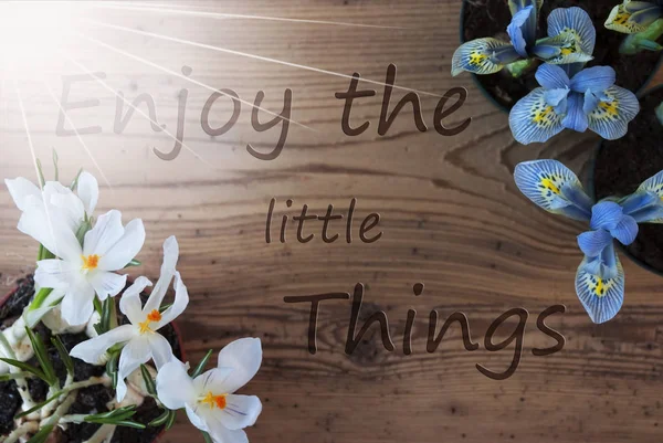 Sunny Crocus And Hyacinth, Quote Enjoy The Little Things — Stock Photo, Image