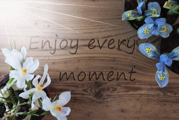 Sunny Crocus And Hyacinth, Quote Enjoy Every Moment — Stock Photo, Image