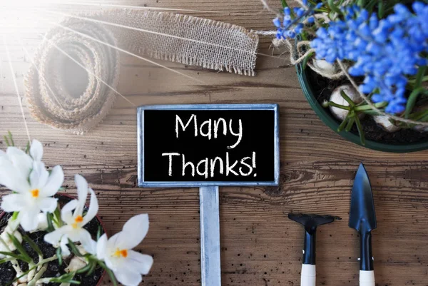 Zonnige lente bloemen, teken, tekst hartelijk dank — Stockfoto