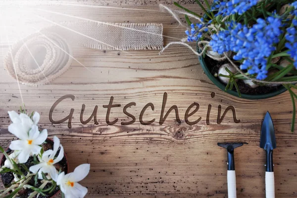 Slunečné jarní květiny, Gutschein znamená doklad — Stock fotografie