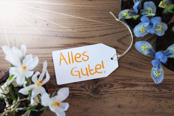 Güneşli çiçekler, etiket, Alles Gute en iyi dilek anlamına gelir. — Stok fotoğraf