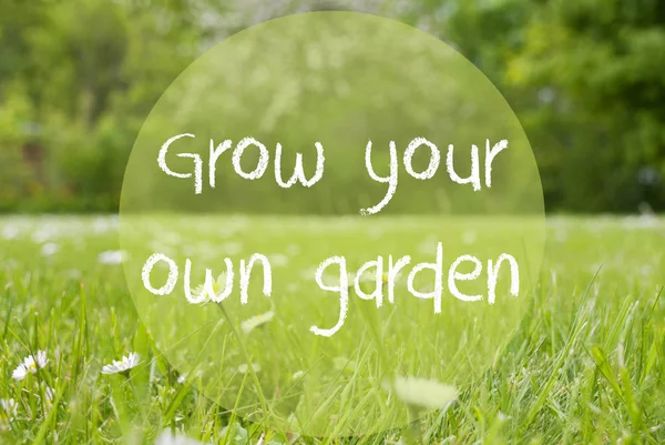 Gras Meadow, Daisy Flowers, Quote Grow Your Own Garden — Stock Photo, Image