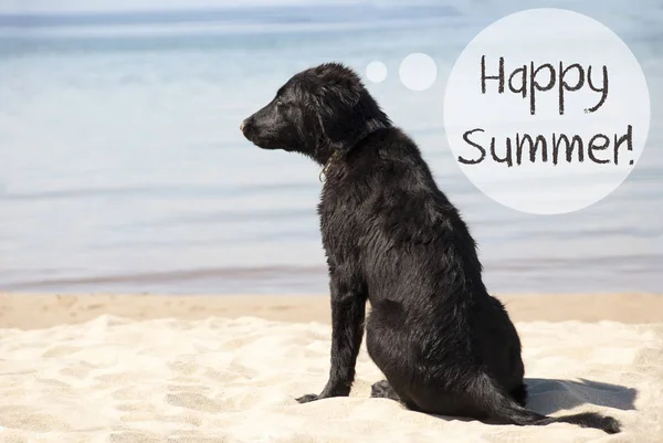 Perro en Sandy Beach, Texto Feliz verano —  Fotos de Stock