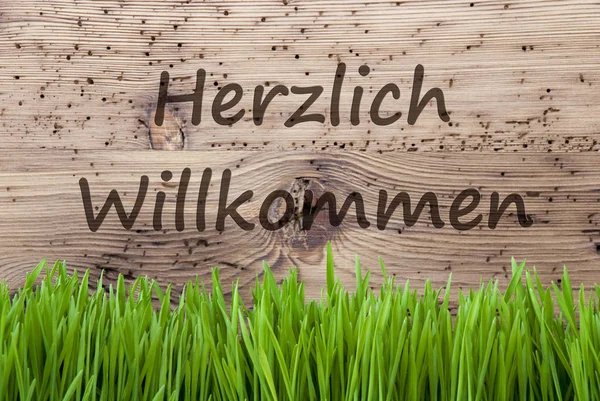 Světlé dřevěné pozadí, Gras, Herzlich Willkommen znamená uvítání — Stock fotografie