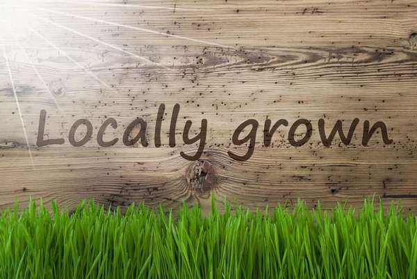 Sunny Wooden Background, Gras, Tekst lokalt dyrket – stockfoto