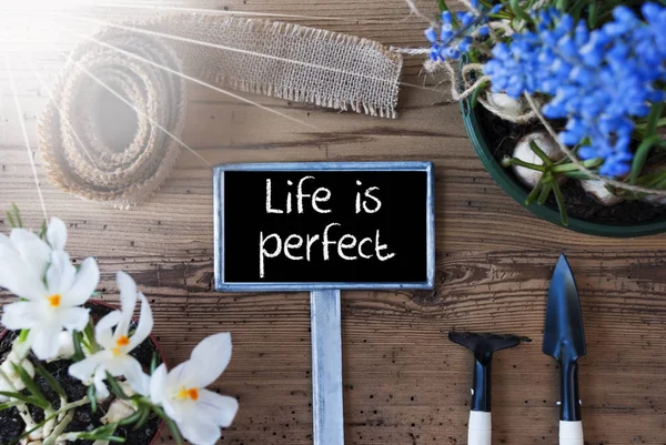 Sunny Spring Flowers, Sign, Quote Life Is Perfect — Stock Photo, Image