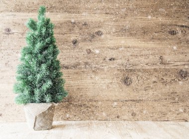 Noel ağacı, kopya alanı, ahşap arka plan, kar taneleri