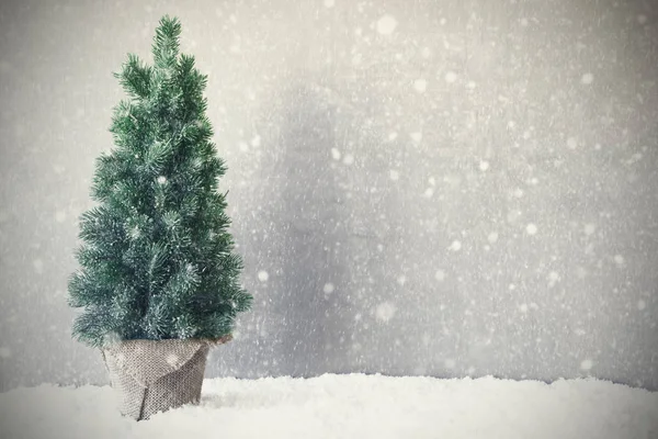Kerstboom, sneeuw, grijze achtergrond, kopiëren ruimte, sneeuwvlokken — Stockfoto