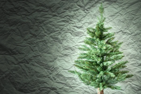 Fir Tree, Crumpled Paper Background, Spotlight, Copy Space — Stock Photo, Image