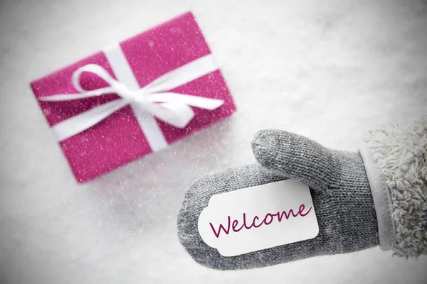 Ροζ δώρο, γάντι, ευπρόσδεκτη κείμενο, νιφάδες χιονιού — Φωτογραφία Αρχείου