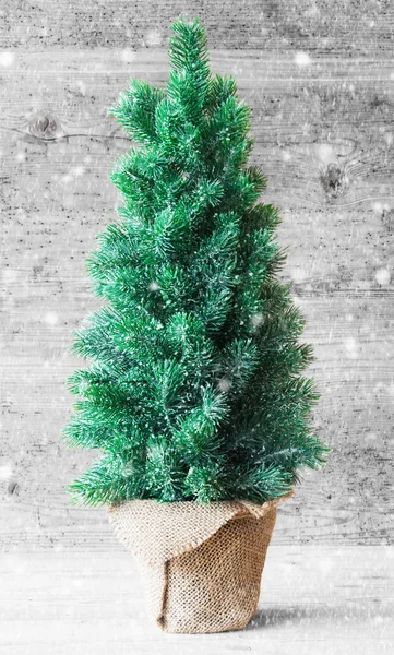 Vertical Christmas Tree, Gray Wooden Background, Snowflakes — Stock Photo, Image