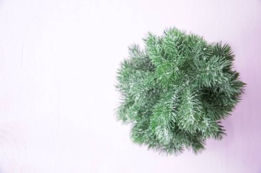 Pembe bir arka plan, kopya alanı ile Noel ağacı Üstten Görünüm