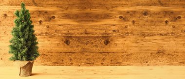 Noel ağacı, kopya alanı, ahşap arka plan, Instagram filtre