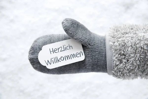 Guanto di lana, etichetta, neve, Herzlich Willkommen significa benvenuto — Foto Stock